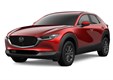 Mazda CX-30 внедорожник (DM) (2019 - 2025)